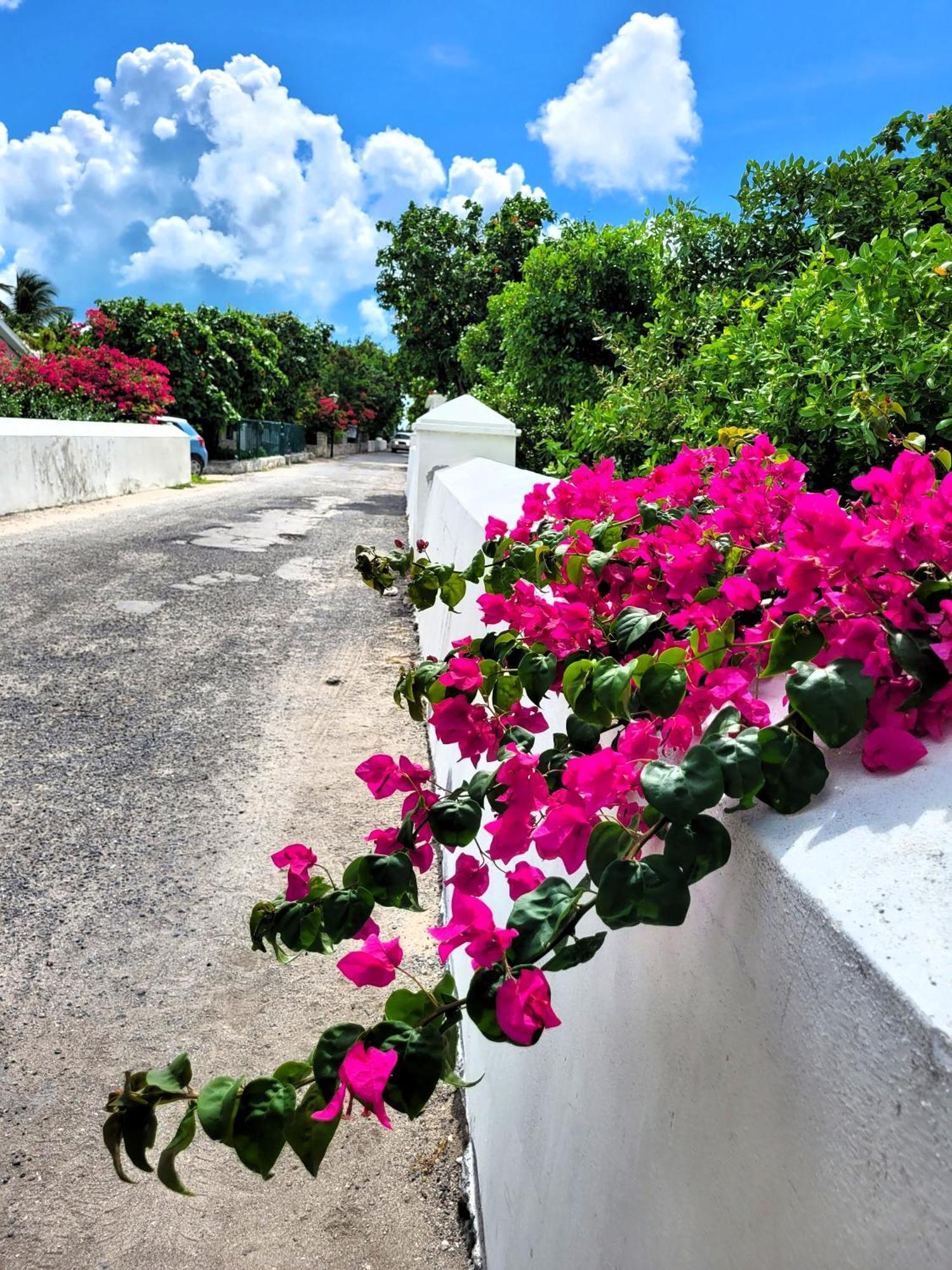 Turks Head Inne Grand Turk Dış mekan fotoğraf